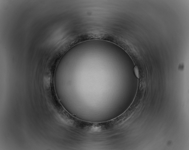 X0000101210647200807071340