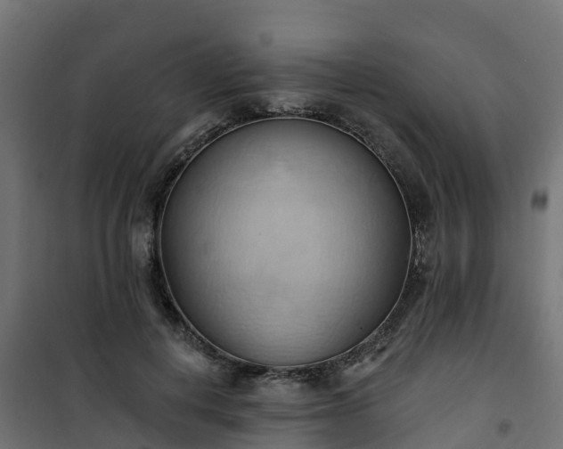 X0000101210648200807071340