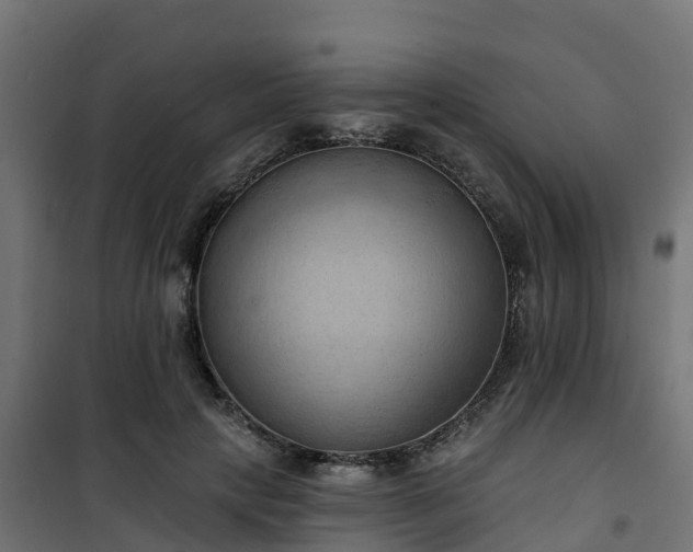 X0000101210649200807071340