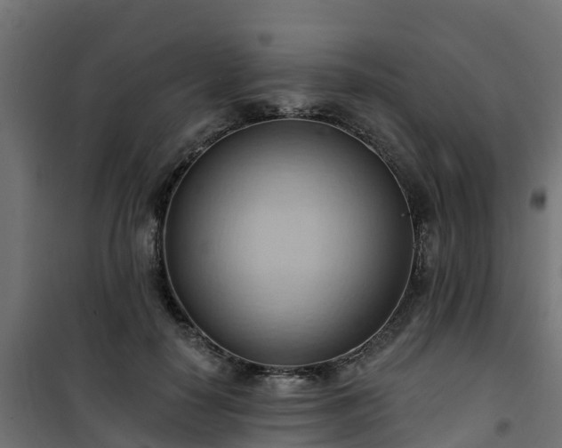 X0000101210650200807071340