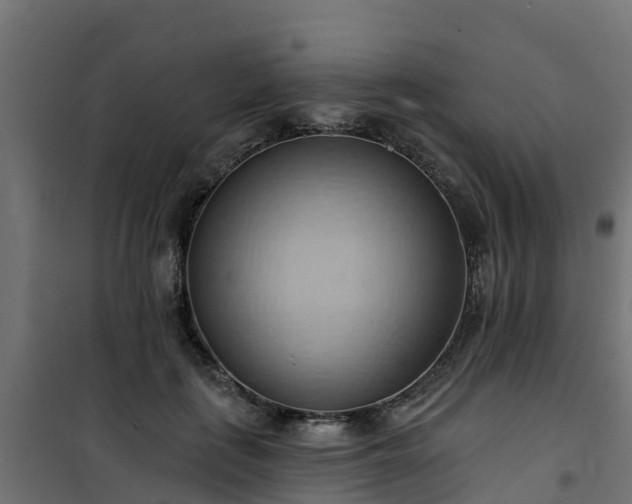 X0000101210651200807071340