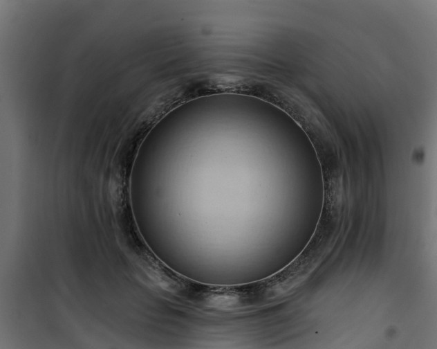 X0000101210653200807071340