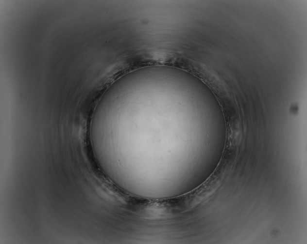 X0000101210656200807071340