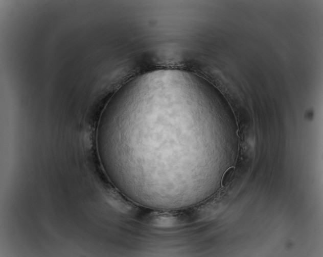 X0000101210658200807071340