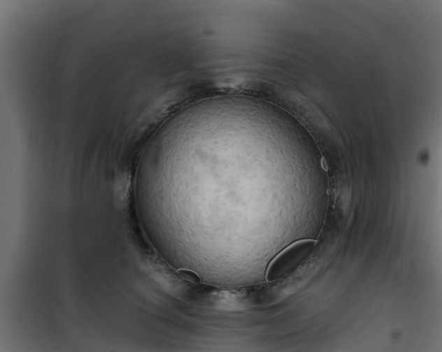 X0000101210660200807071340