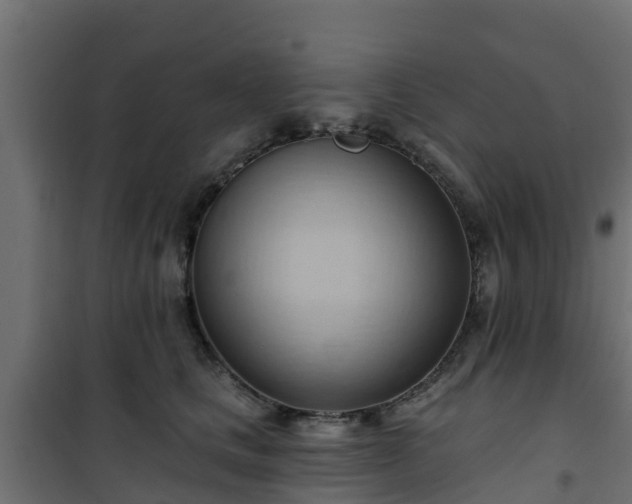 X0000101210661200807071340