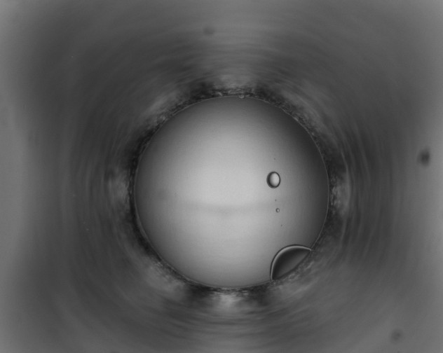 X0000101210662200807071340