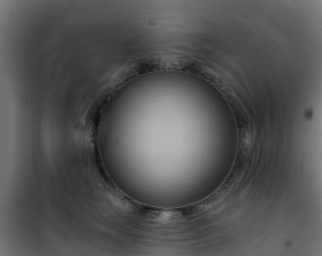 X0000101210663200807071340