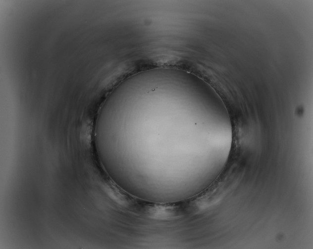 X0000101210664200807071340