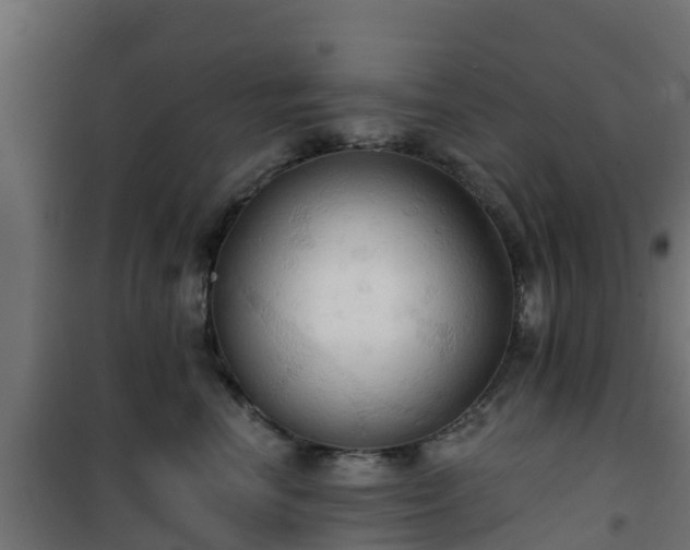 X0000101210666200807071340