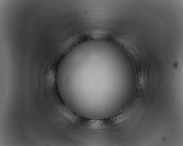 X0000101210667200807071340