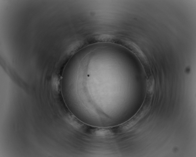 X0000101210669200807071340