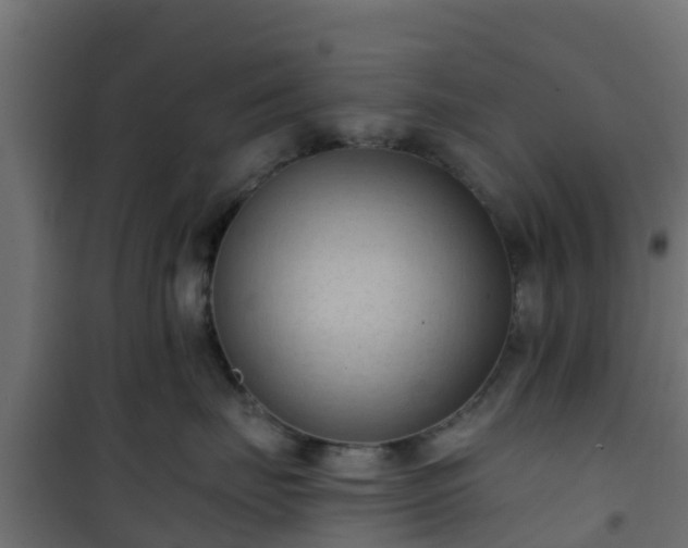 X0000101210671200807071340