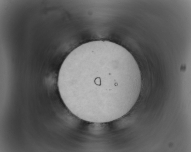 X0000101210672200807071340