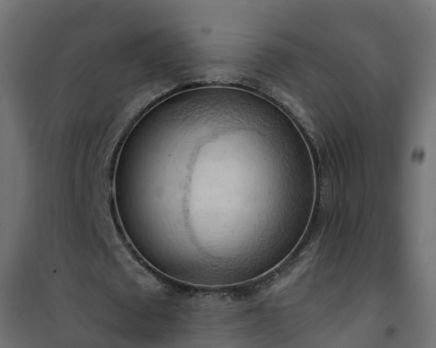 X0000101210673200807071339