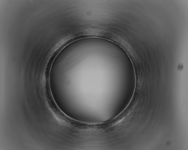 X0000101210674200807071339