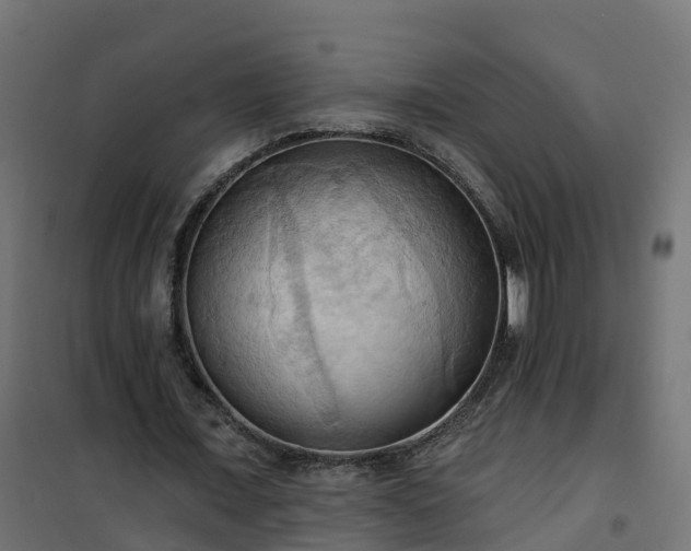 X0000101210675200807071339