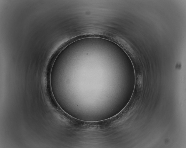 X0000101210676200807071339