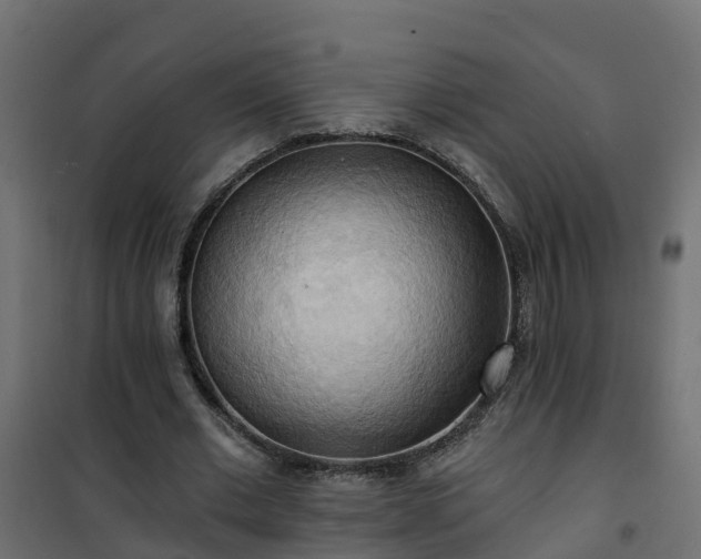 X0000101210677200807071339