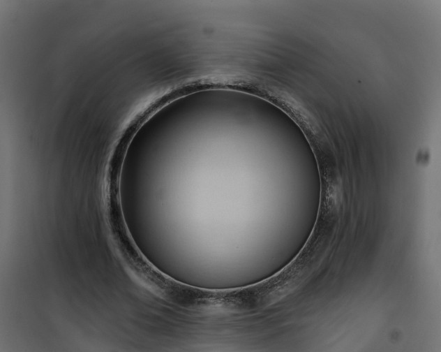 X0000101210678200807071339