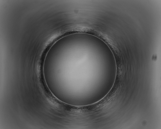 X0000101210679200807071339