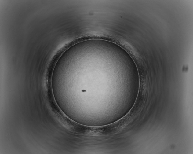 X0000101210680200807071339