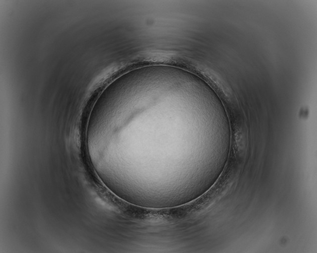 X0000101210682200807071339