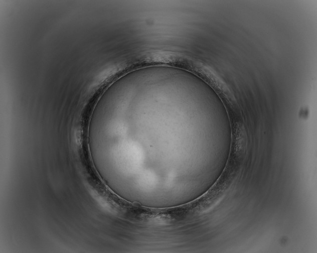 X0000101210683200807071339