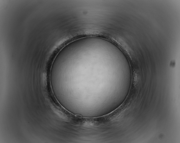 X0000101210684200807071339