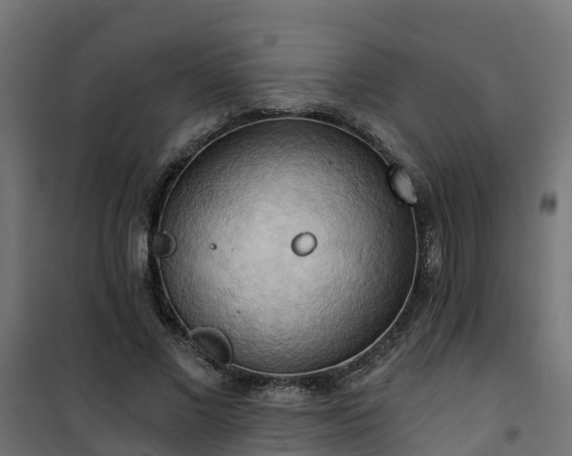 X0000101210685200807071339