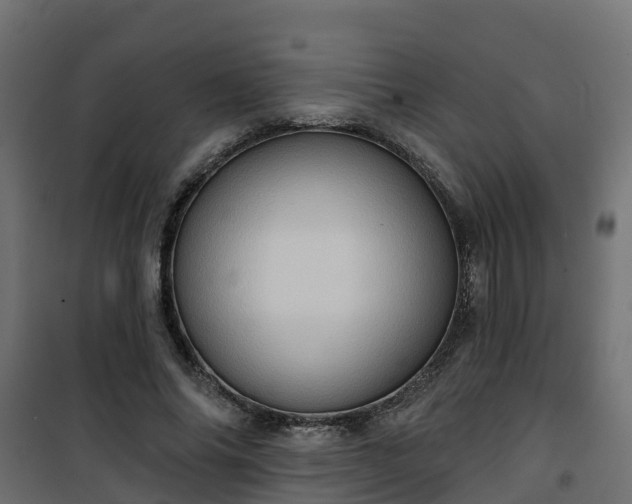 X0000101210686200807071339