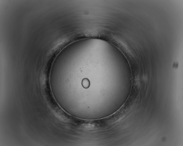 X0000101210687200807071339