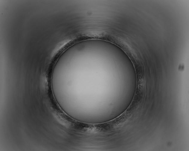 X0000101210688200807071339