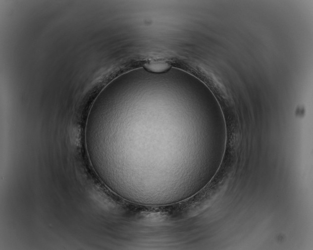 X0000101210689200807071339