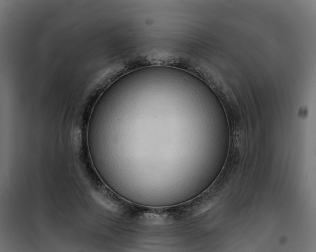 X0000101210690200807071339