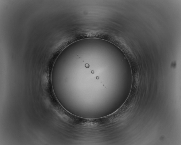 X0000101210691200807071339