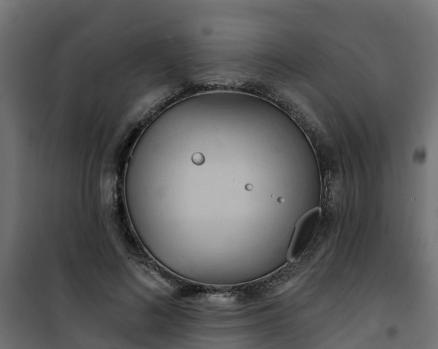 X0000101210692200807071339