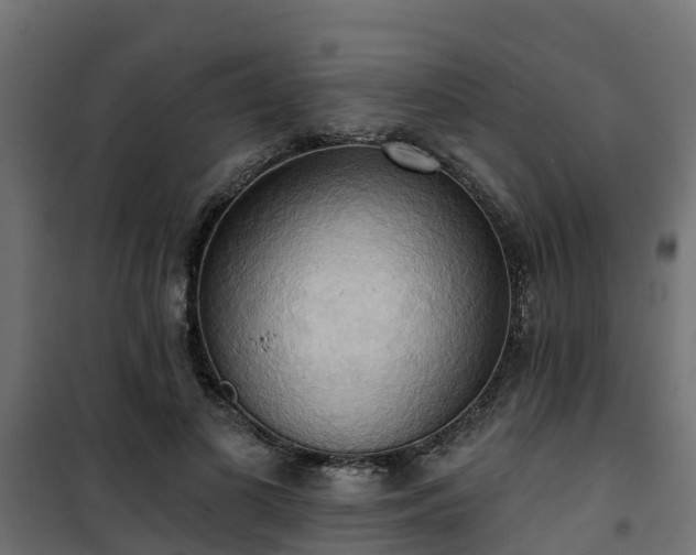 X0000101210693200807071339