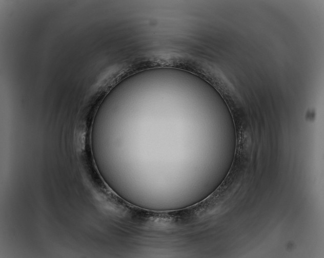 X0000101210694200807071339