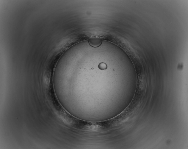 X0000101210695200807071339