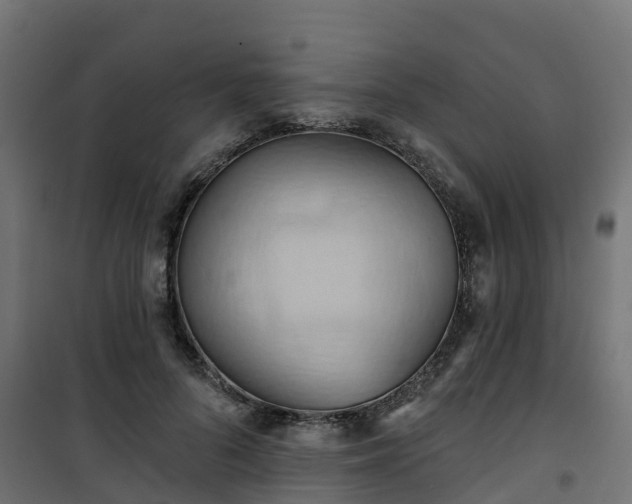 X0000101210696200807071339