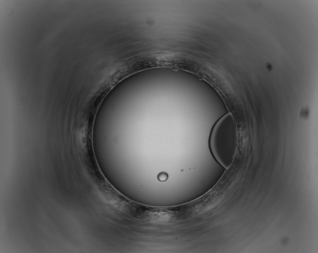 X0000101210698200807071339