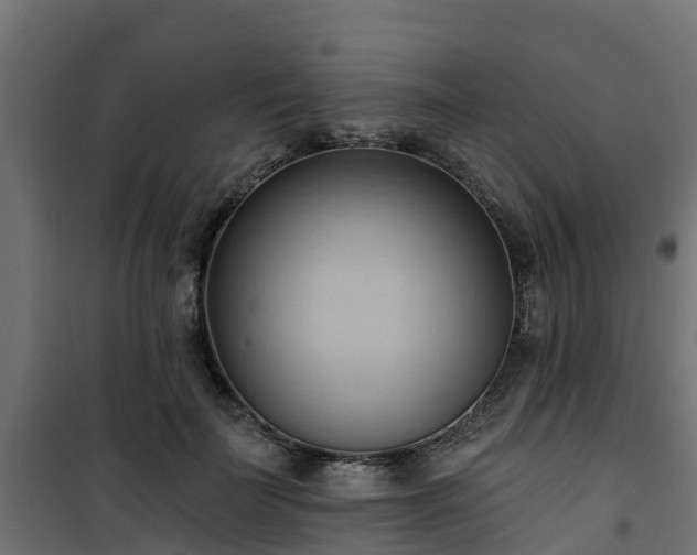 X0000101210699200807071339