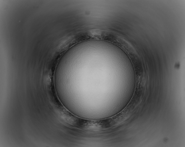 X0000101210702200807071339