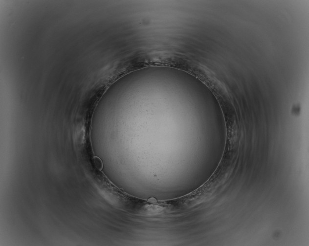 X0000101210703200807071339