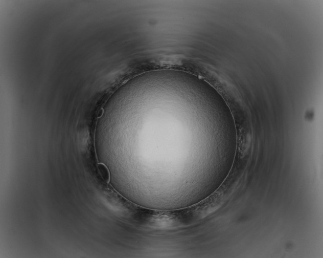 X0000101210704200807071339