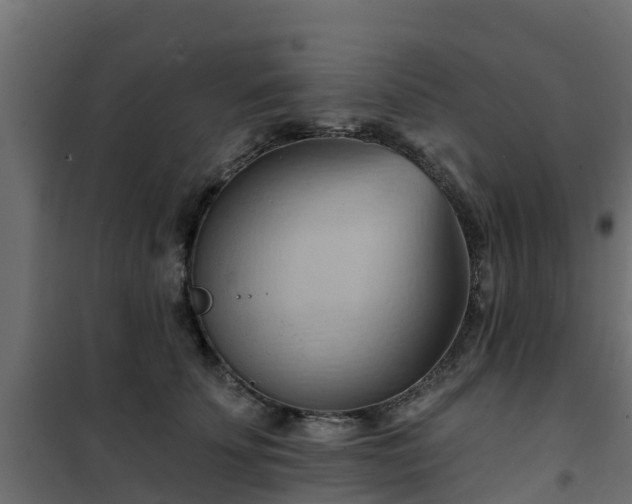 X0000101210707200807071339