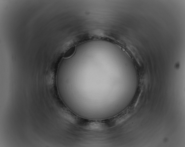 X0000101210708200807071339