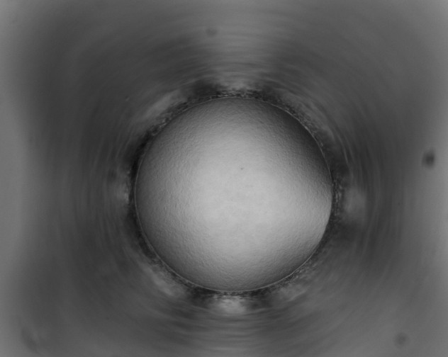 X0000101210710200807071339