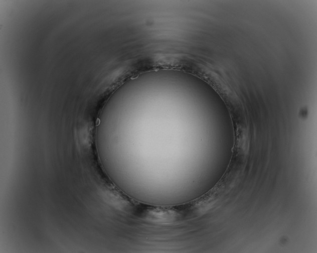 X0000101210712200807071339